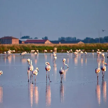 Ca' Elena Holiday home *
