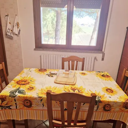 Casa vacanze Ca' Elena Codigoro